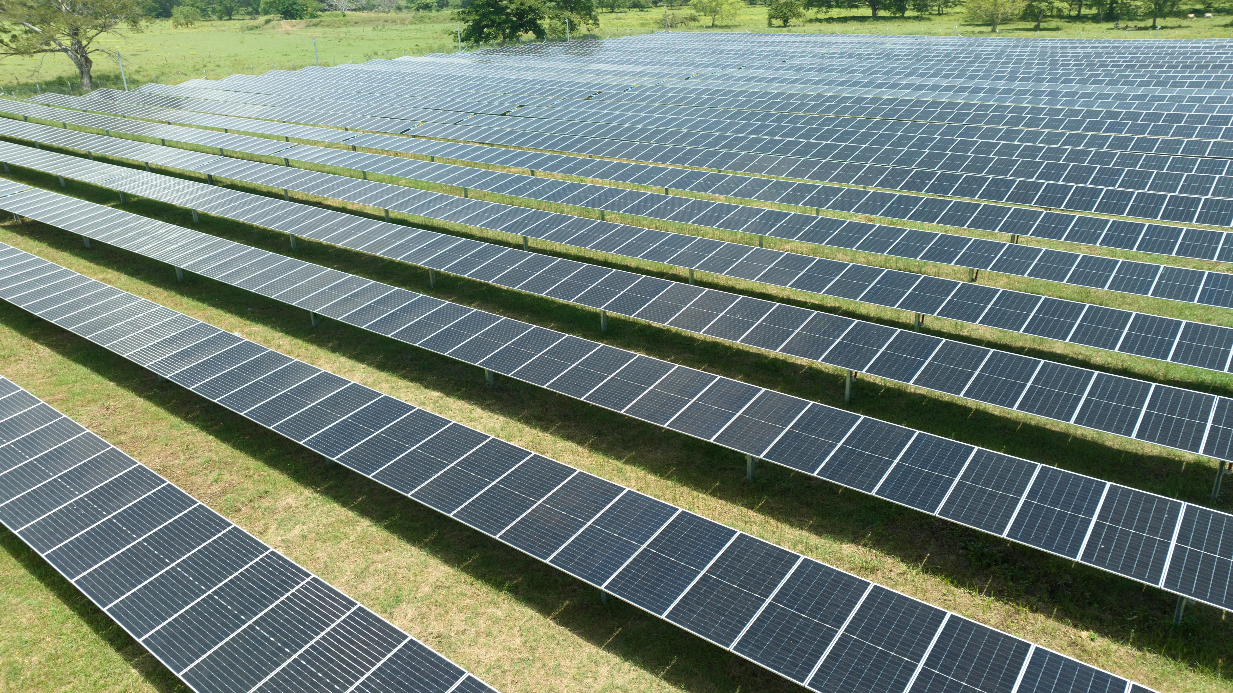 Campo con paneles solares en operación